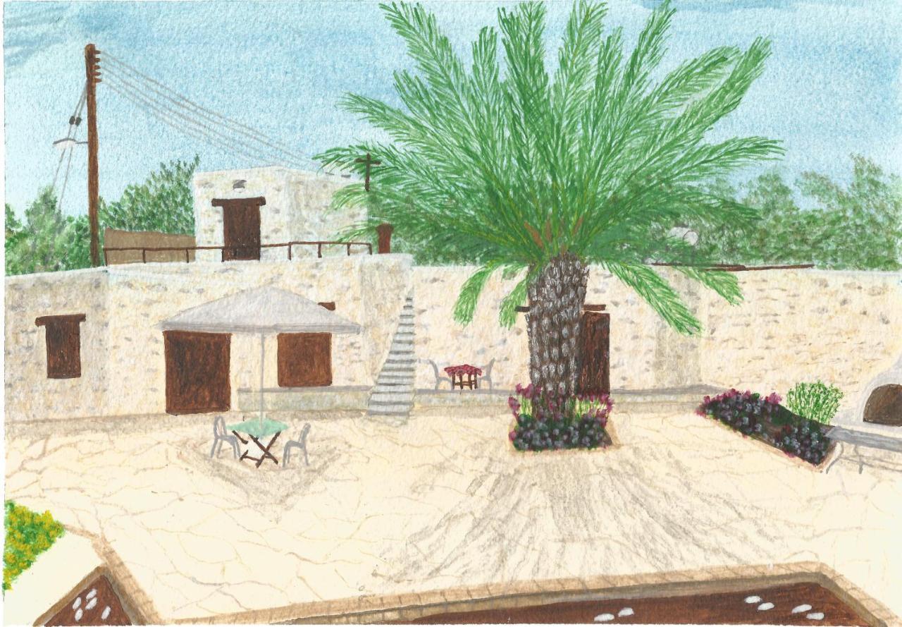 Palm Tree Oriental House And Homestay Polis Eksteriør billede